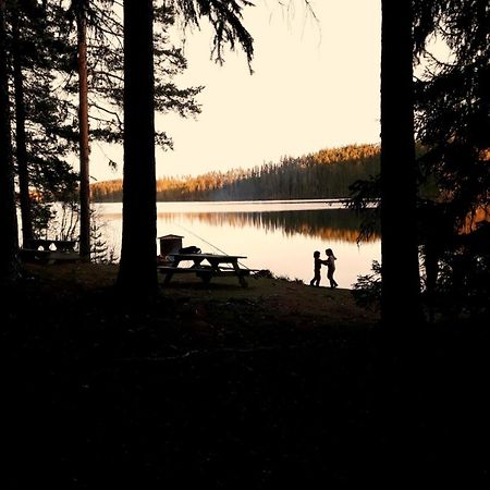 Cozy Stuga - Mountain View Ramsele Dış mekan fotoğraf