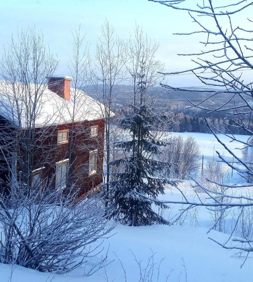 Cozy Stuga - Mountain View Ramsele Dış mekan fotoğraf