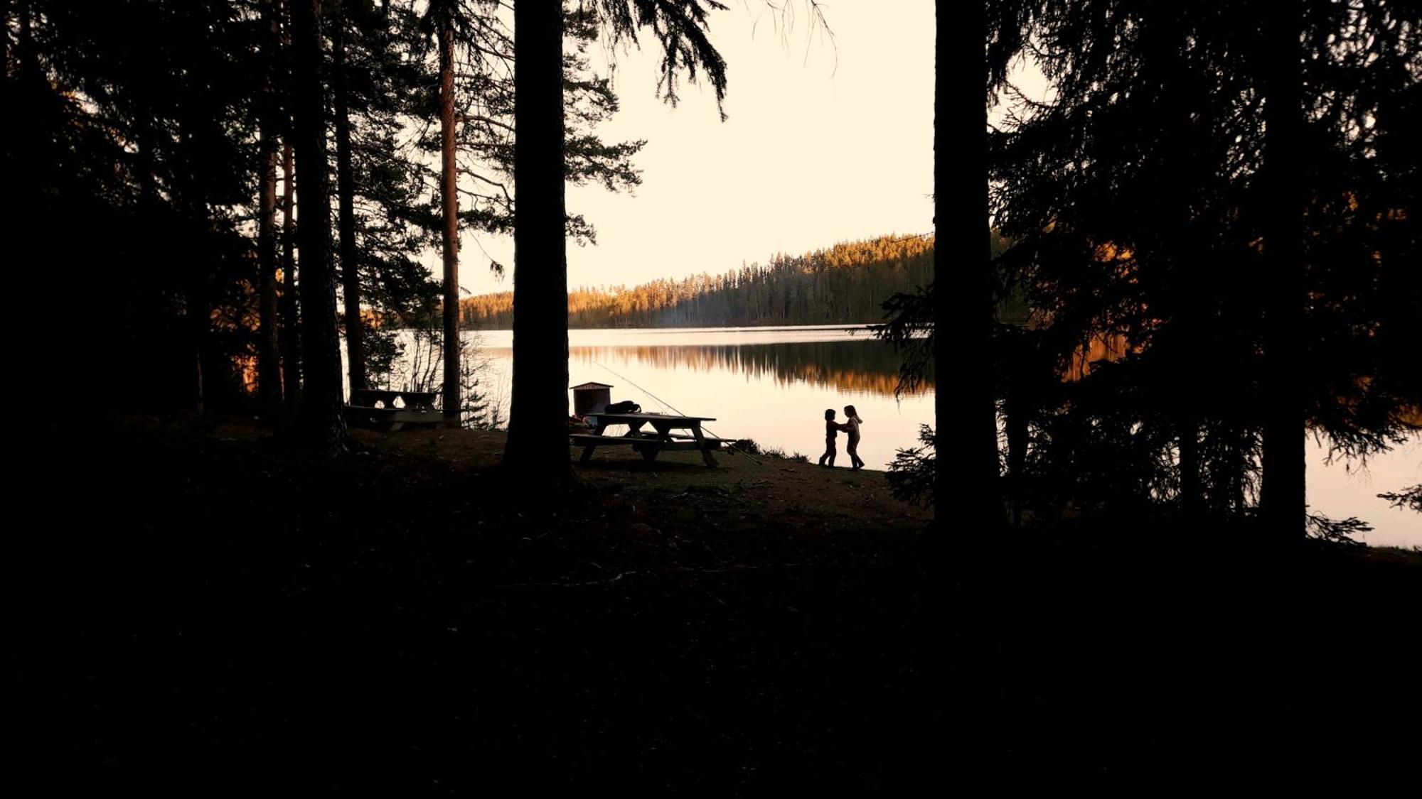 Cozy Stuga - Mountain View Ramsele Dış mekan fotoğraf
