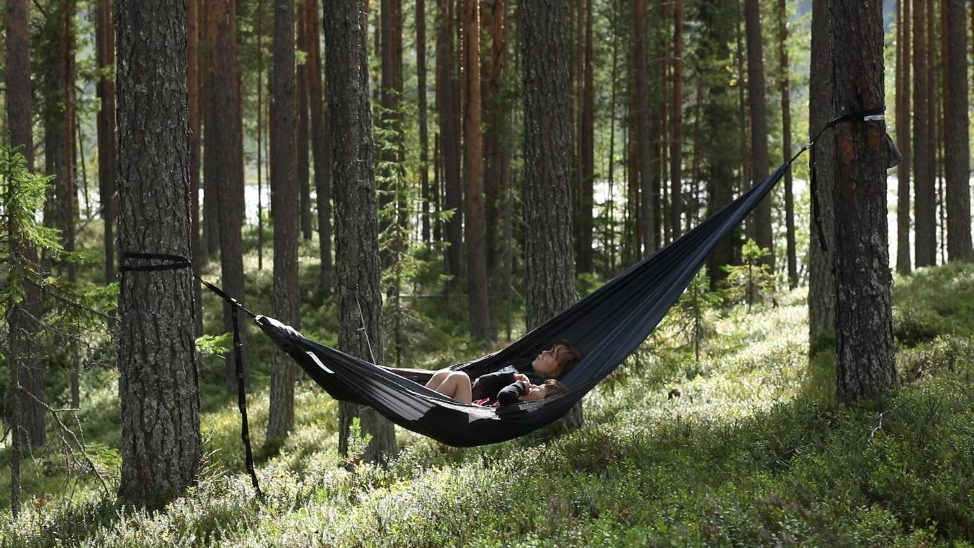 Cozy Stuga - Mountain View Ramsele Dış mekan fotoğraf
